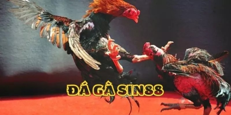 da-ga-online-sin88